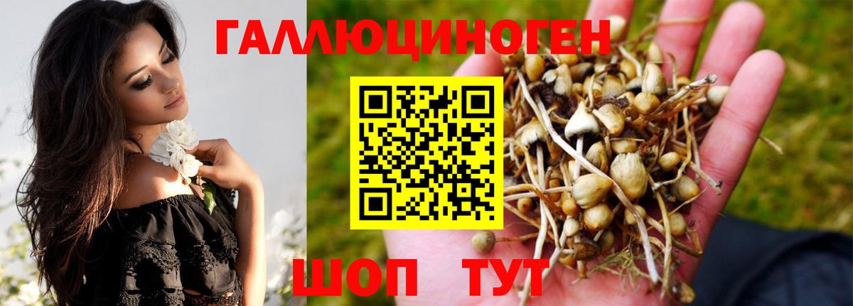 Великие Луки  Галлюциногенные грибы мухоморы  Псилоцибиновые грибы ЛСД  Вход с VPN 