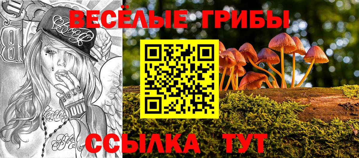 Псилоцибиновые грибы ЛСД Великие Луки